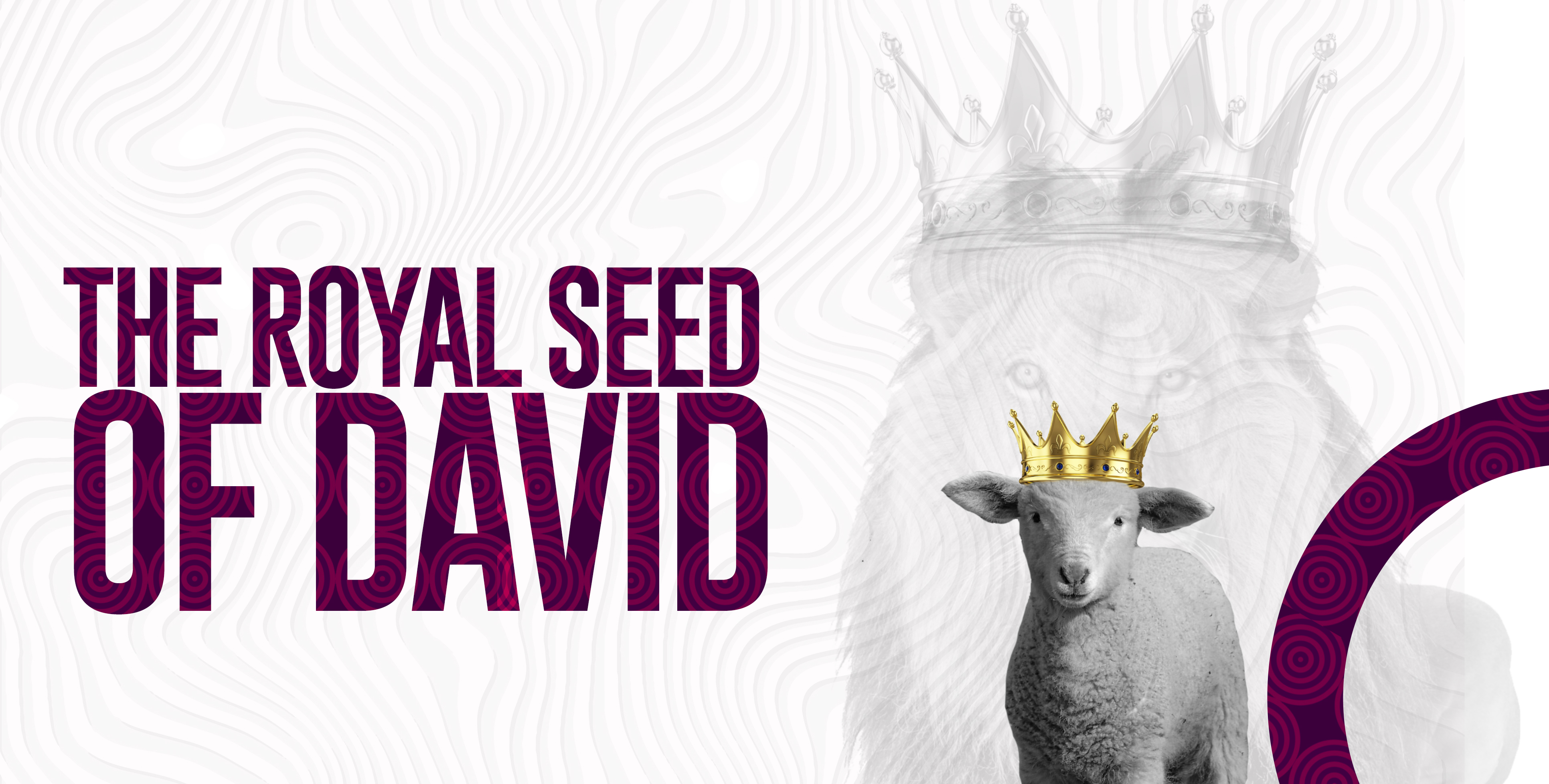 royal seed of david feature